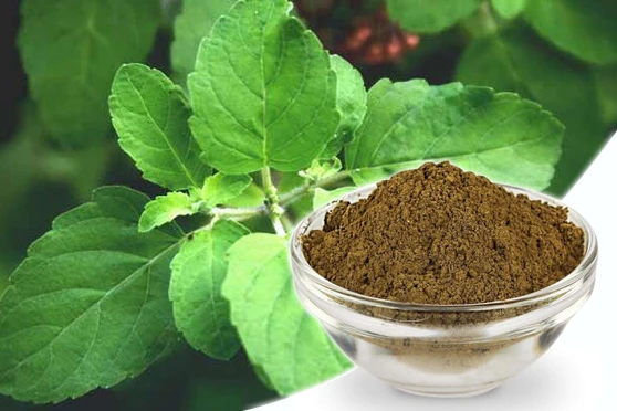 Holy Basil Powder Tulsi 50g HANDCRAFT Naturals